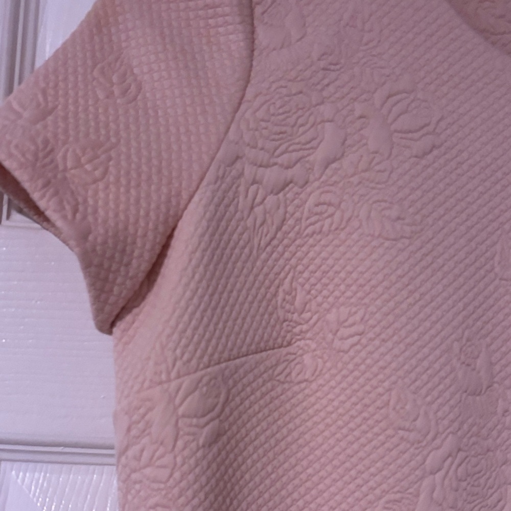 CALVIN KLEIN Sz 4… NWOT…Blush Pink Floral Textured Mini Dress W Gold Zipper